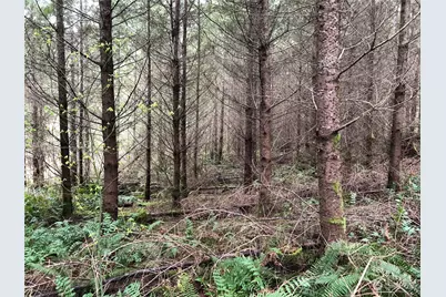 217 Xx Thompson Creek Road, Tenino, WA 98589 - Photo 3