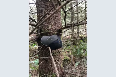 217 Xx Thompson Creek Road, Tenino, WA 98589 - Photo 9