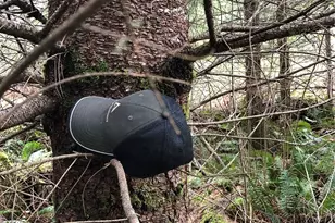 217 Xx Thompson Creek Rd, Tenino, WA 98589 - Photo 9