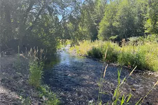 236 Wolf Fork Rd, Dayton, WA 99328 - Photo 33