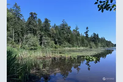 11024 Matthews Way, Anderson Island, WA 98303 - Photo 7