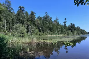 11024 Matthews Way, Anderson Island, WA 98303 - Photo 7