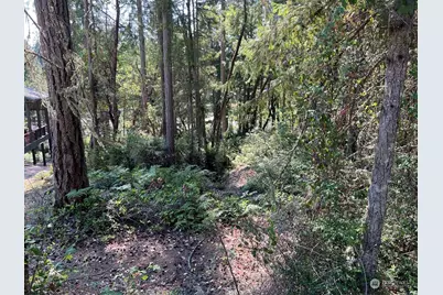 11024 Matthews Way, Anderson Island, WA 98303 - Photo 11
