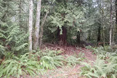 0 Lackey Road NW, Vaughn, WA 98394 - Photo 3