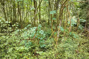 0 Lackey Road NW, Vaughn, WA 98394 - Photo 1