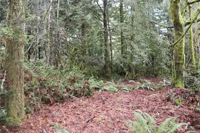 0 Lackey Road NW, Vaughn, WA 98394 - Photo 5