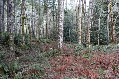 0 Lackey Road NW, Vaughn, WA 98394 - Photo 7