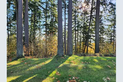 12 Forest Hill Estate Drive, Longview, WA 98632 - Photo 17