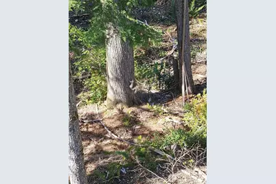 821 E Olde Lyme Road, Shelton, WA 98584 - Photo 27