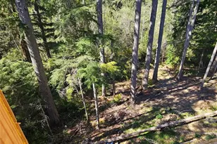 821 E Olde Lyme Rd, Shelton, WA 98584 - Photo 21