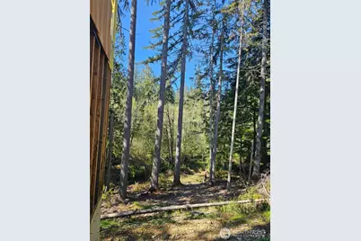 821 E Olde Lyme Road, Shelton, WA 98584 - Photo 19