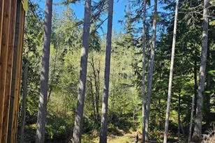 821 E Olde Lyme Rd, Shelton, WA 98584 - Photo 19