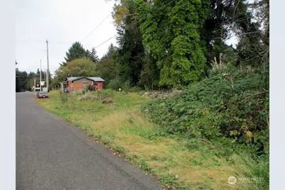 699 Copalis Beach Road, Copalis Beach, WA 98535 - Photo 3