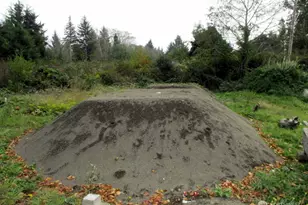 699 Copalis Beach Rd, Copalis Beach, WA 98535 - Photo 9