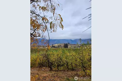 917 Lower Joe Creek Road, Manson, WA 98831 - Photo 7