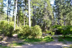 110 NE Collins Dr E, Tahuya, WA 98588 - Photo 9