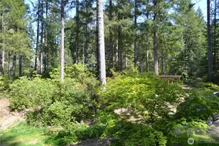 110 NE Collins Dr E, Tahuya, WA 98588 - Photo 3