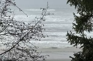 4757 State Route 109, Moclips, WA 98562 - Photo 5