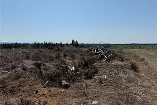 2 Xx Oppelt Rd, Onalaska, WA 98570 - Photo 7