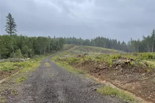 2 Xx Oppelt Rd, Onalaska, WA 98570 - Photo 3