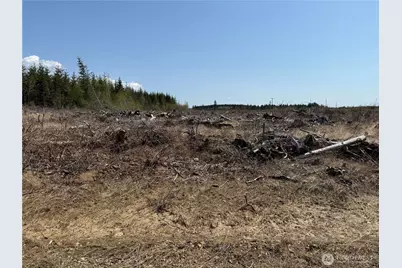 3 Xx Centralia Alpha Road, Onalaska, WA 98570 - Photo 7