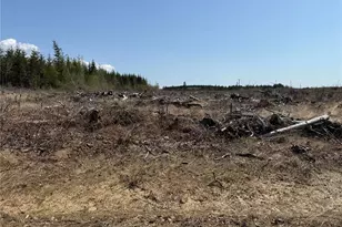 3 Xx Centralia Alpha Rd, Onalaska, WA 98570 - Photo 7