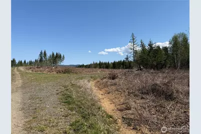 3 Xx Centralia Alpha Road, Onalaska, WA 98570 - Photo 11