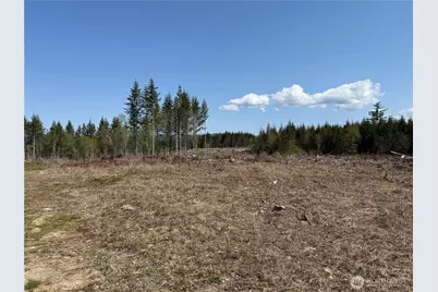 3 Xx Centralia Alpha Road, Onalaska, WA 98570 - Photo 9