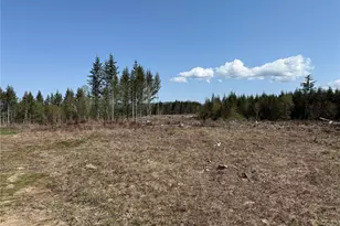 3 Xx Centralia Alpha Rd, Onalaska, WA 98570 - Photo 9