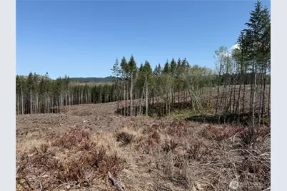 3 Xx Centralia Alpha Road, Onalaska, WA 98570 - Photo 5