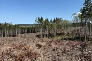 3 Xx Centralia Alpha Rd, Onalaska, WA 98570 - Photo 5