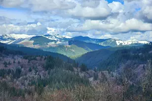 1141 Cedar Falls Rd, Washougal, WA 98671 - Photo 27