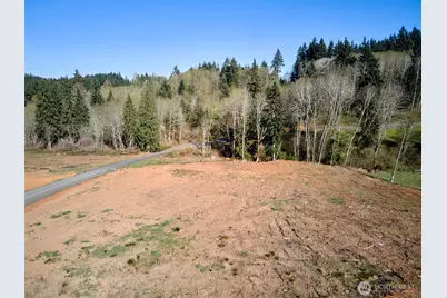 315 Dolan Road, Castle Rock, WA 98611 - Photo 15