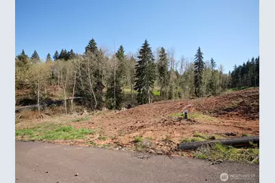 315 Dolan Road, Castle Rock, WA 98611 - Photo 9