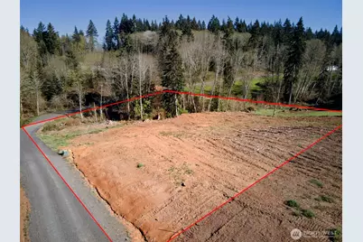 315 Dolan Road, Castle Rock, WA 98611 - Photo 3