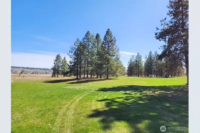 39024 Petrie Lane E, Davenport, WA 99122 - Photo 5