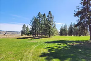 39024 Petrie Ln E, Davenport, WA 99122 - Photo 5