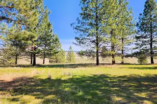 39024 Petrie Ln E, Davenport, WA 99122 - Photo 29