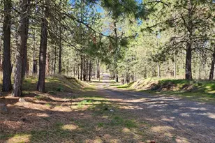 39024 Petrie Ln E, Davenport, WA 99122 - Photo 33