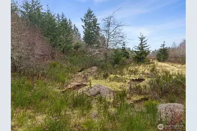 2641 28th Avenue NW, Olympia, WA 98502 - Photo 23