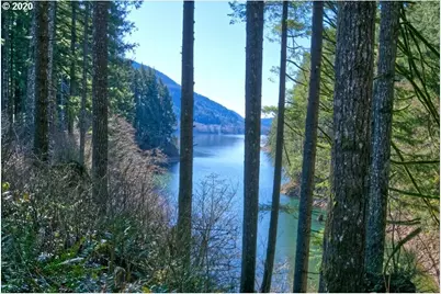 168 Yale Landing Road, Cougar, WA 98616 - Photo 37