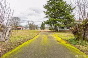 7811 S Verde St, Tacoma, WA 98409 - Photo 19