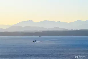 2125 1st Ave, Seattle, WA 98121 - Photo 3