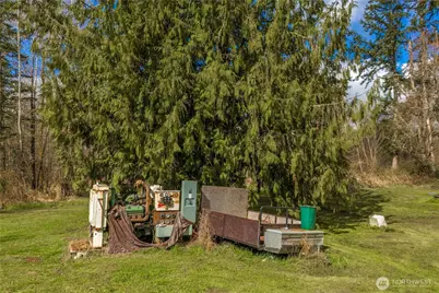 32416 Mtn Highway E, Eatonville, WA 98328 - Photo 23