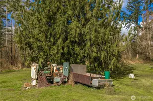 32416 Mountain Hwy E, Eatonville, WA 98328 - Photo 23