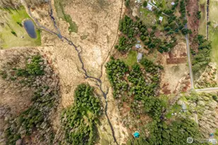 32416 Mountain Hwy E, Eatonville, WA 98328 - Photo 7