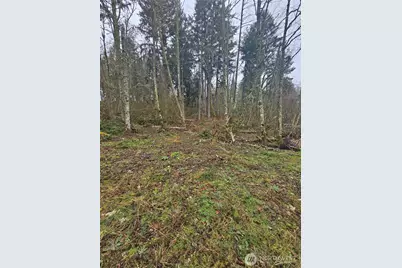 25933 96th Avenue E, Graham, WA 98338 - Photo 7