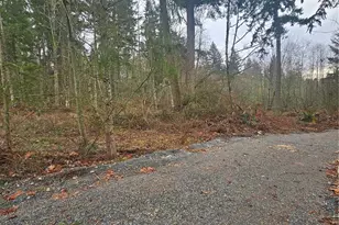 25933 96th Ave E, Graham, WA 98338 - Photo 1