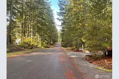 151 N Quinault Place, Hoodsport, WA 98548 - Photo 11