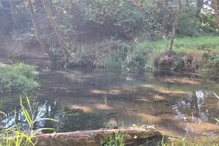 2768 Hwy 603, Winlock, WA 98596 - Photo 33